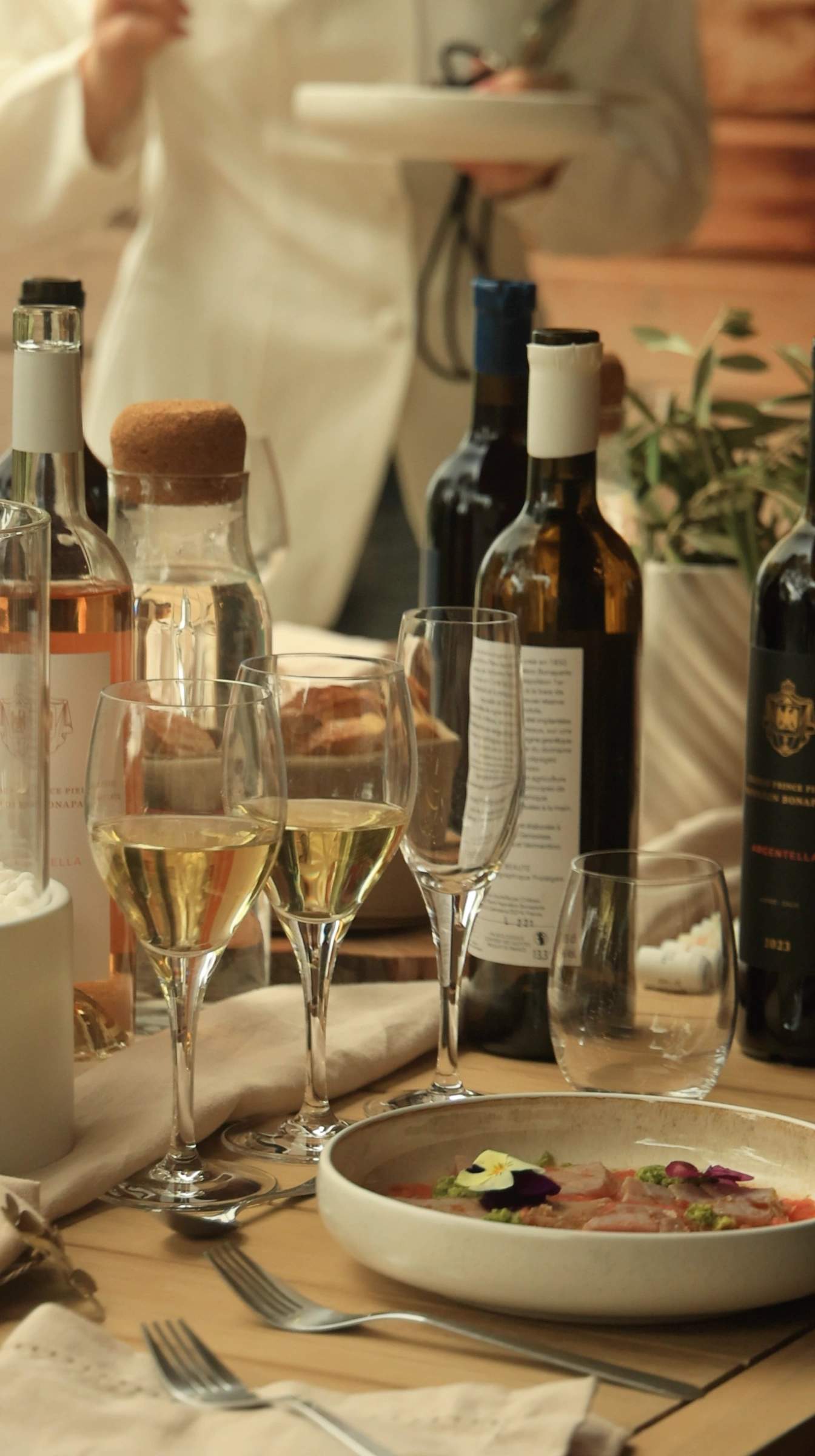 Dégustation de vin à l'écrin des bois en Balagne