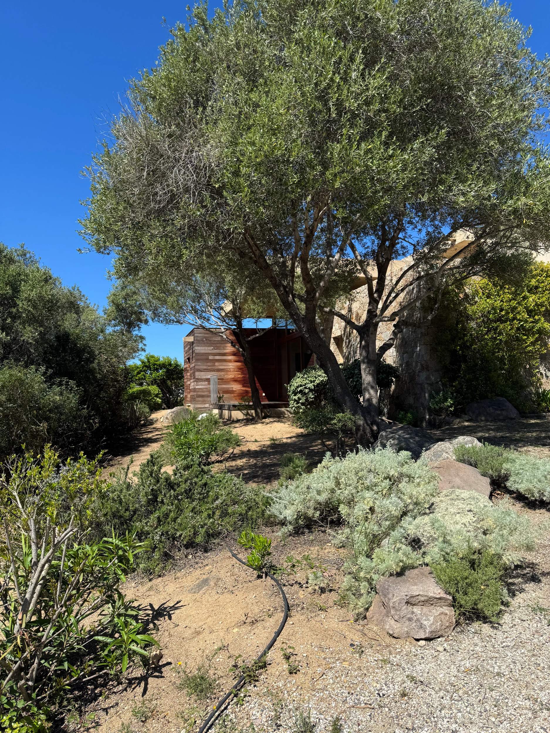 Le jardin de la villa Alivu